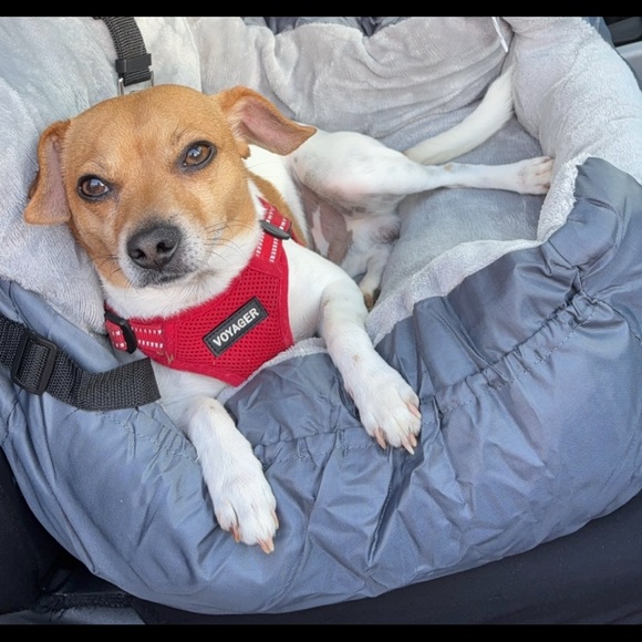 Meet your Posher, C - Picture 2 of 4